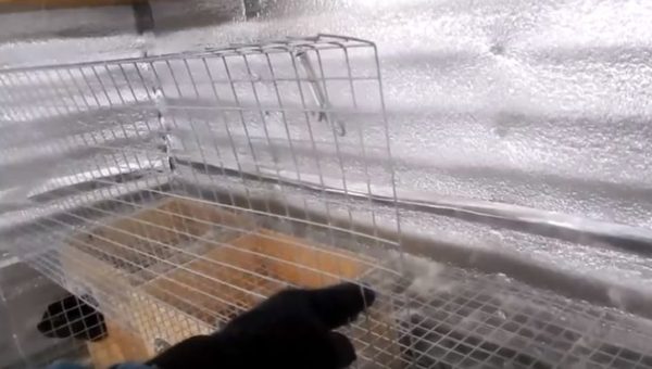 Для дверки край сетки подгибают